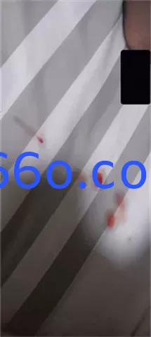 114836dwes2loedwsv2jve