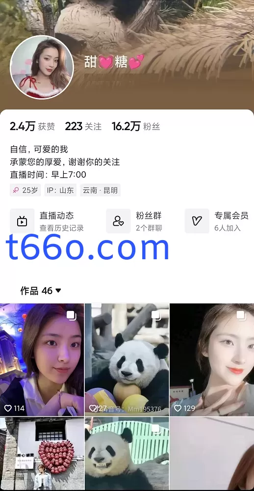抖音无内摇奶王 甜糖 全程不带胸罩激凸动感骚舞 精剪合集【83V】