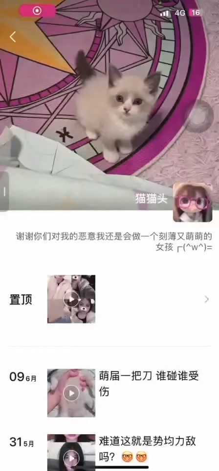 微信 猫猫头 气质良家 巨乳 露脸露点 自慰 B特写 洗澡等 8V